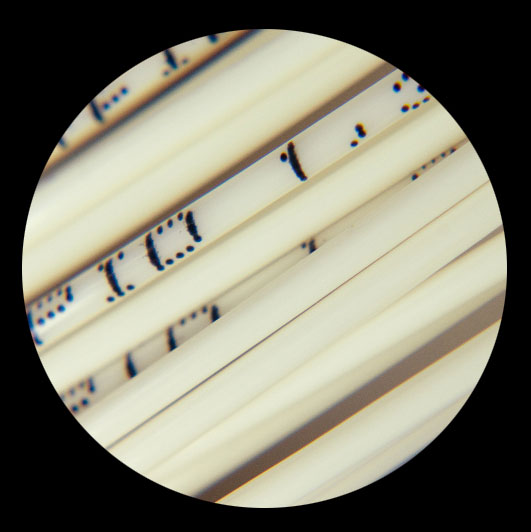 Tenis struna Polyfibre TCS Rapid - kolut