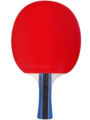 Table tennis racket Cornilleau Sport 200