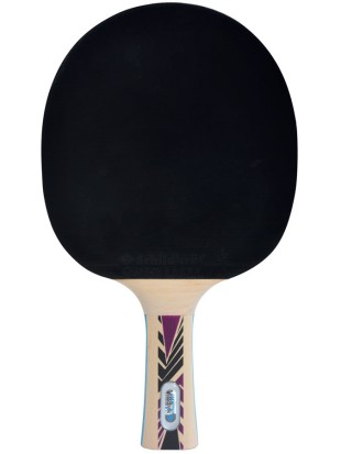 Lopar za namizni tenis DSK Legends 800 FSC