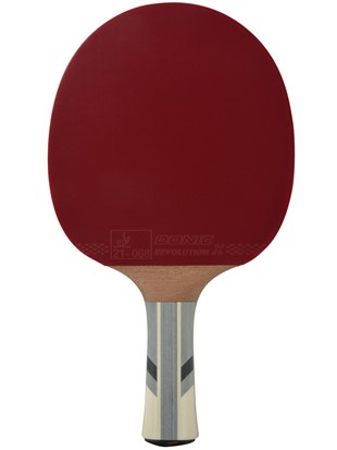 Table tennis racket DSK Waldner 3000